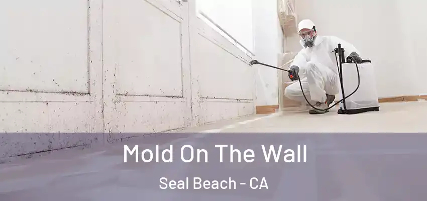  Mold On The Wall Seal Beach - CA