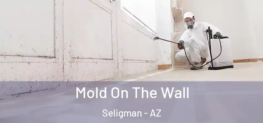 Mold On The Wall Seligman - AZ