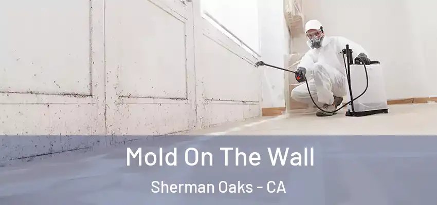  Mold On The Wall Sherman Oaks - CA
