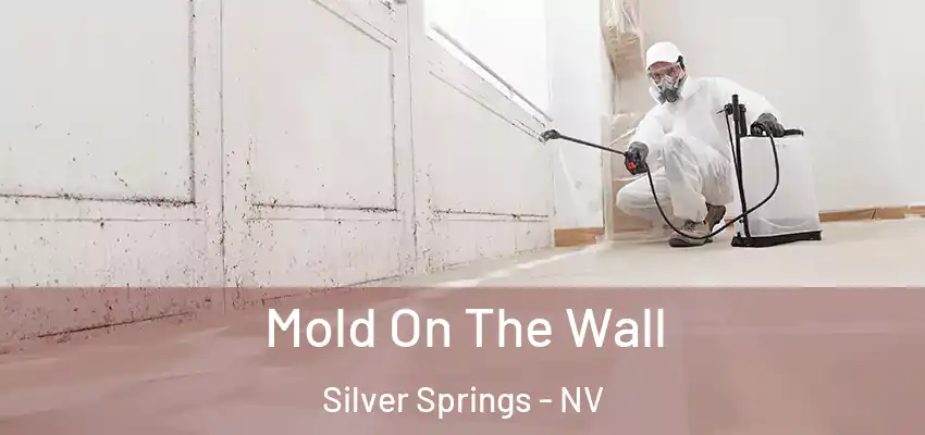  Mold On The Wall Silver Springs - NV