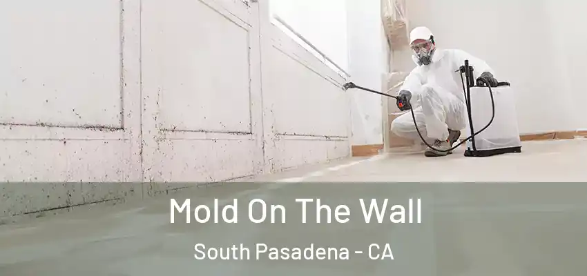 Mold On The Wall South Pasadena - CA