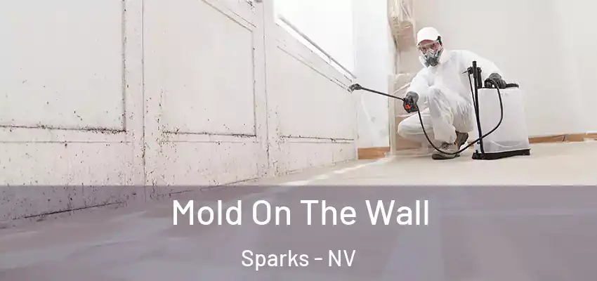  Mold On The Wall Sparks - NV