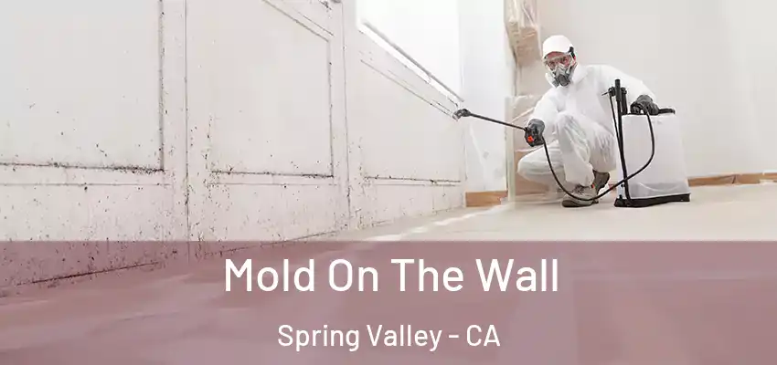  Mold On The Wall Spring Valley - CA