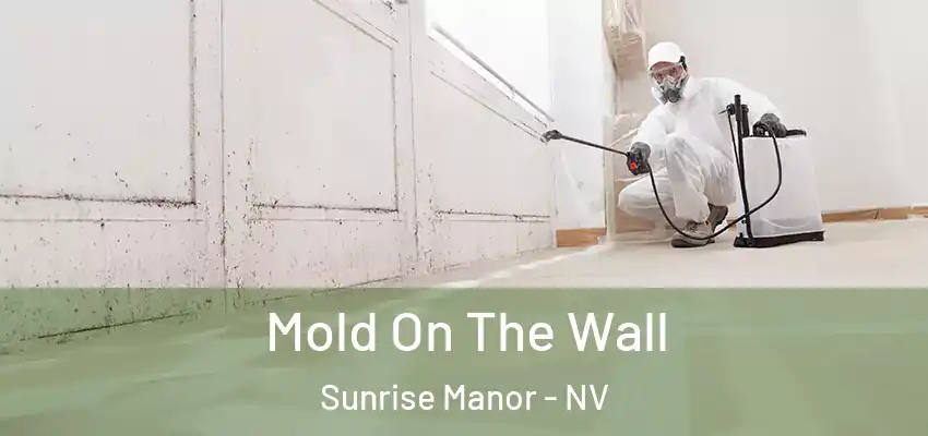  Mold On The Wall Sunrise Manor - NV