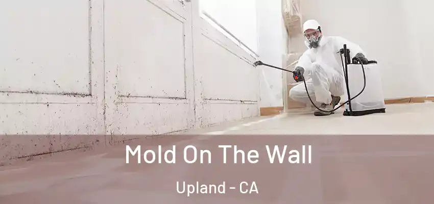 Mold On The Wall Upland - CA