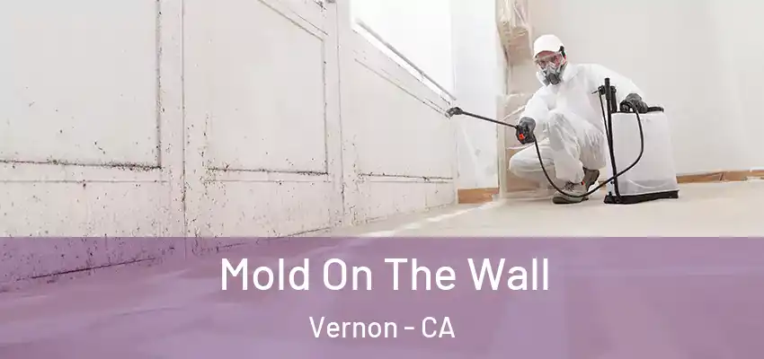  Mold On The Wall Vernon - CA