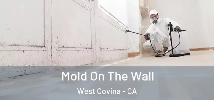  Mold On The Wall West Covina - CA