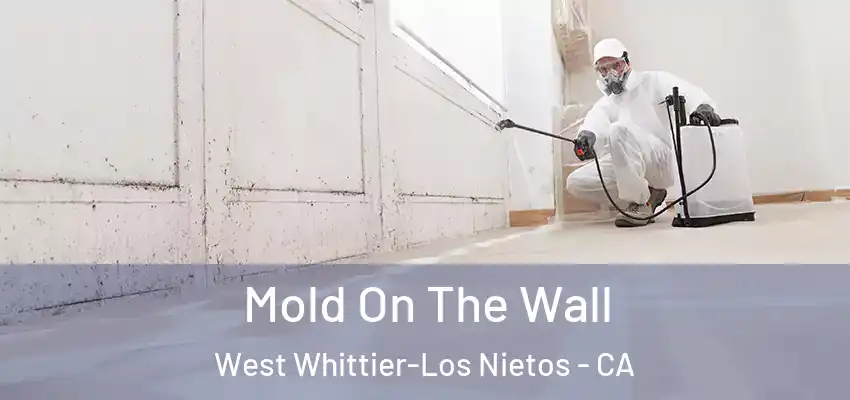  Mold On The Wall West Whittier-Los Nietos - CA