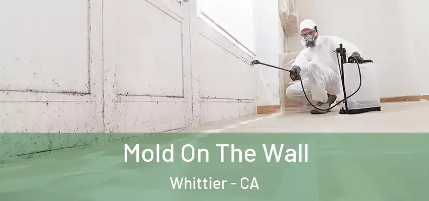 Mold On The Wall Whittier - CA