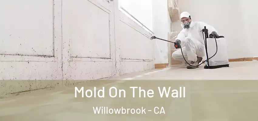 Mold On The Wall Willowbrook - CA