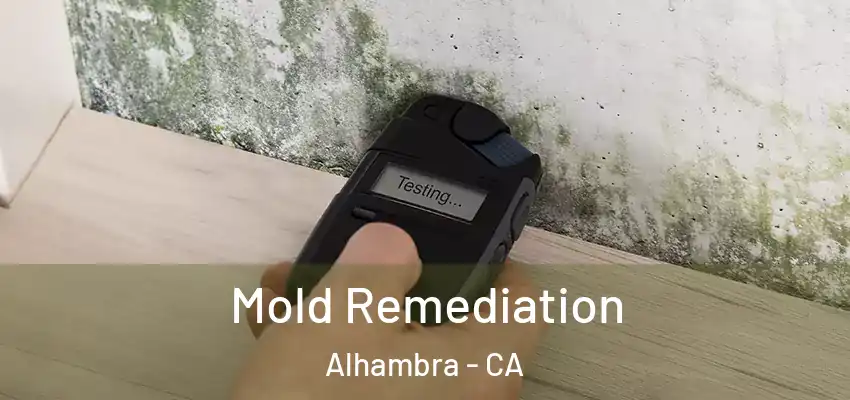  Mold Remediation Alhambra - CA