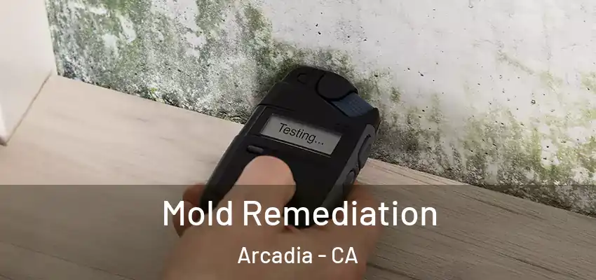  Mold Remediation Arcadia - CA