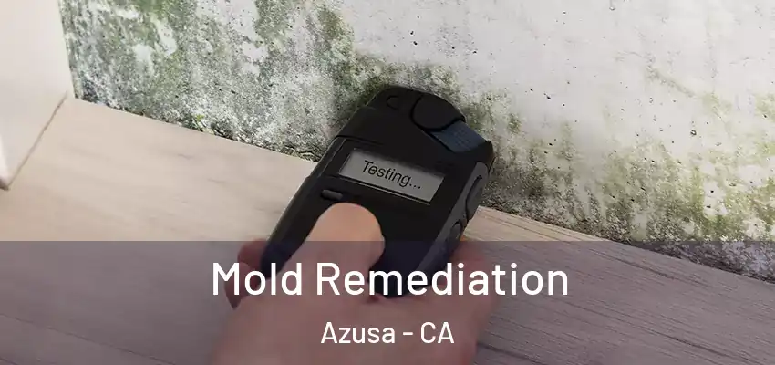  Mold Remediation Azusa - CA