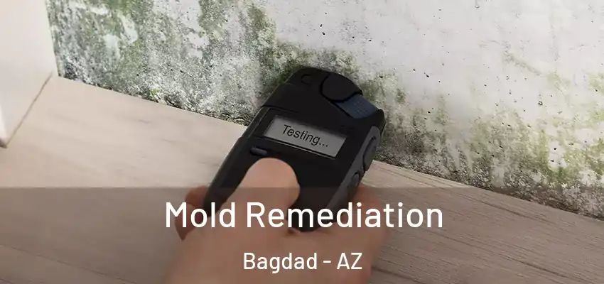  Mold Remediation Bagdad - AZ