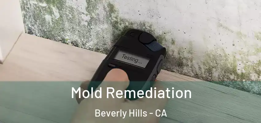  Mold Remediation Beverly Hills - CA