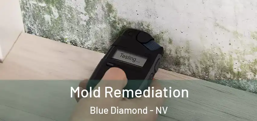  Mold Remediation Blue Diamond - NV