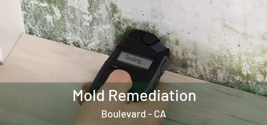  Mold Remediation Boulevard - CA
