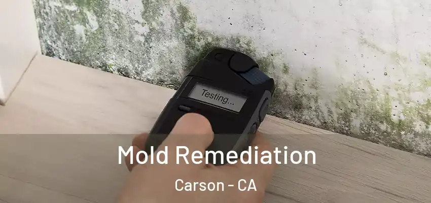 Mold Remediation Carson - CA