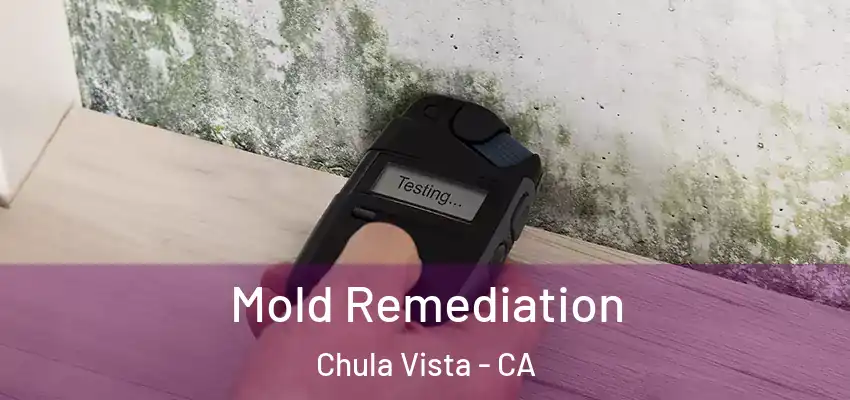  Mold Remediation Chula Vista - CA