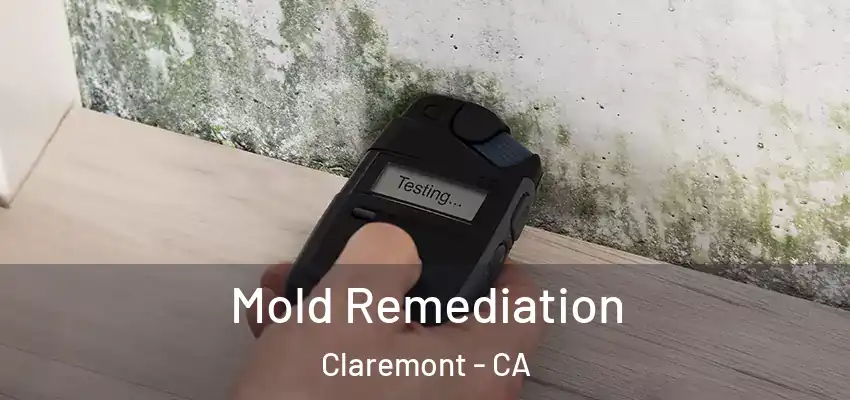 Mold Remediation Claremont - CA