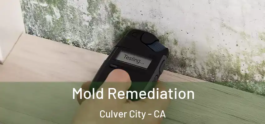  Mold Remediation Culver City - CA