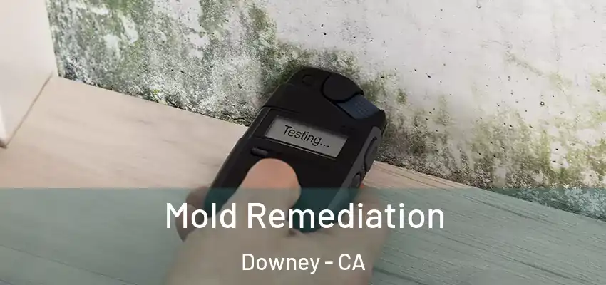  Mold Remediation Downey - CA