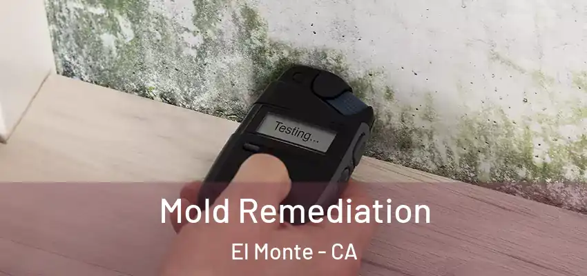  Mold Remediation El Monte - CA