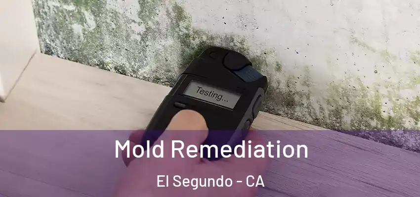  Mold Remediation El Segundo - CA