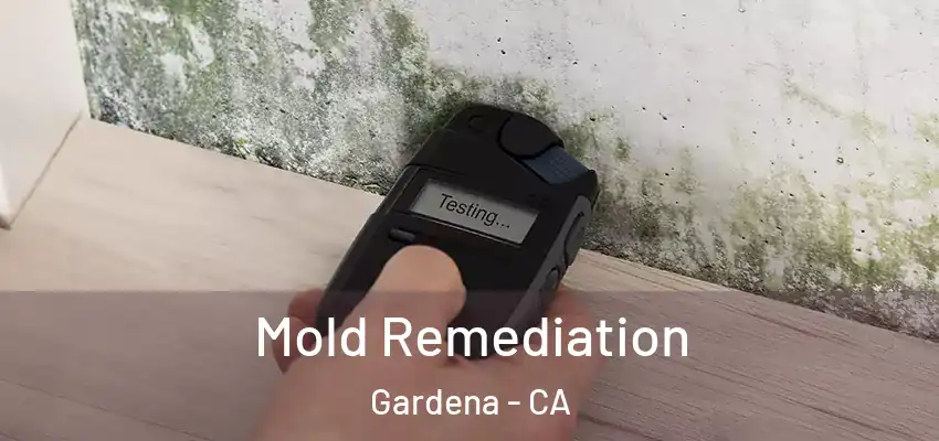  Mold Remediation Gardena - CA