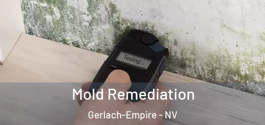  Mold Remediation Gerlach-Empire - NV