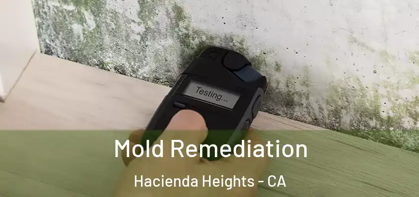  Mold Remediation Hacienda Heights - CA
