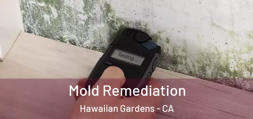  Mold Remediation Hawaiian Gardens - CA