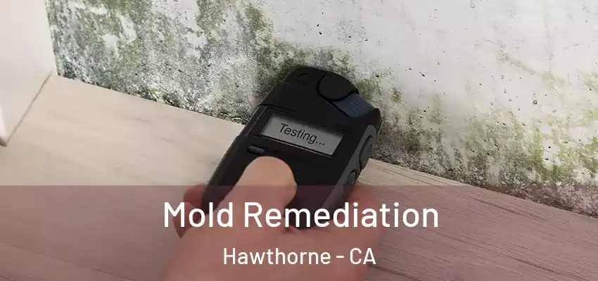  Mold Remediation Hawthorne - CA