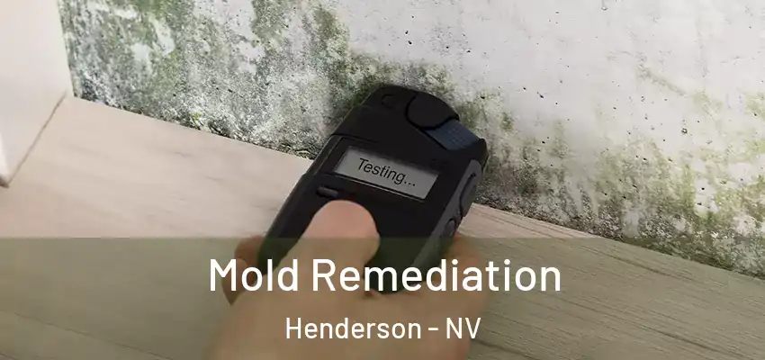  Mold Remediation Henderson - NV