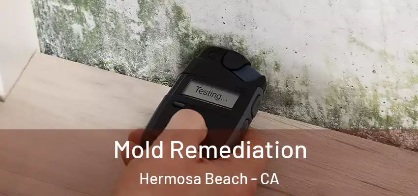  Mold Remediation Hermosa Beach - CA