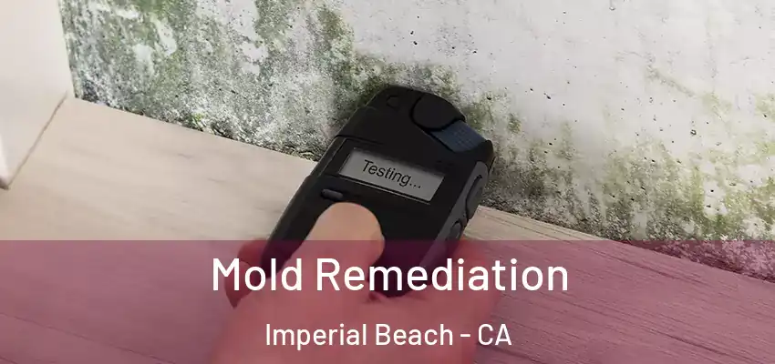 Mold Remediation Imperial Beach - CA