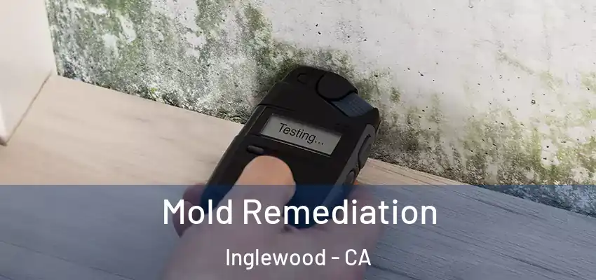  Mold Remediation Inglewood - CA