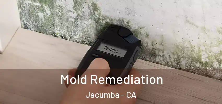  Mold Remediation Jacumba - CA