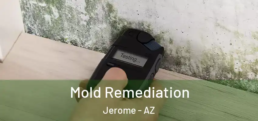  Mold Remediation Jerome - AZ