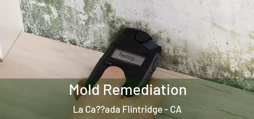  Mold Remediation La Ca??ada Flintridge - CA