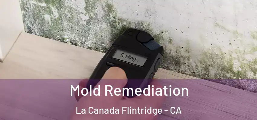  Mold Remediation La Canada Flintridge - CA