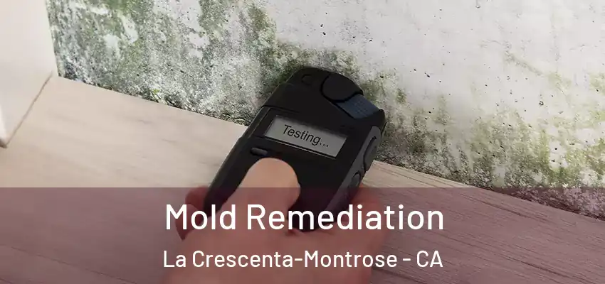  Mold Remediation La Crescenta-Montrose - CA