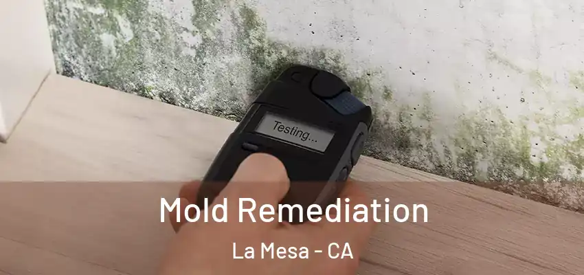  Mold Remediation La Mesa - CA