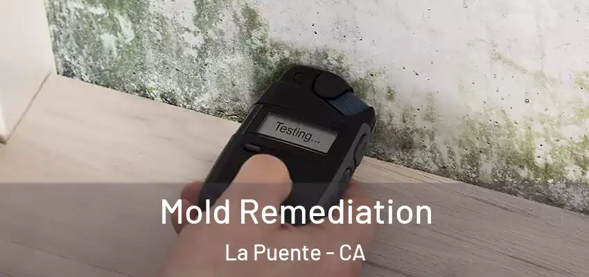 Mold Remediation La Puente - CA