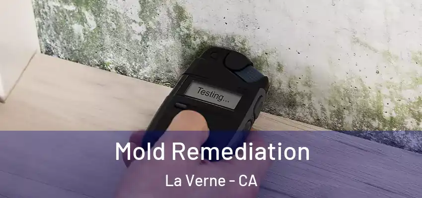  Mold Remediation La Verne - CA