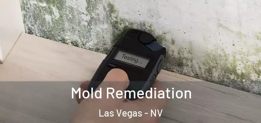 Mold Remediation Las Vegas - NV