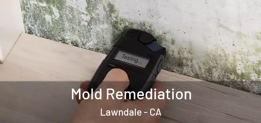  Mold Remediation Lawndale - CA