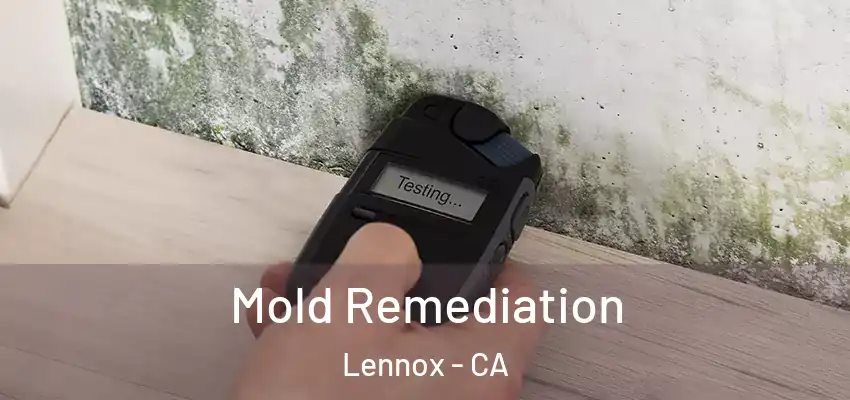Mold Remediation Lennox - CA