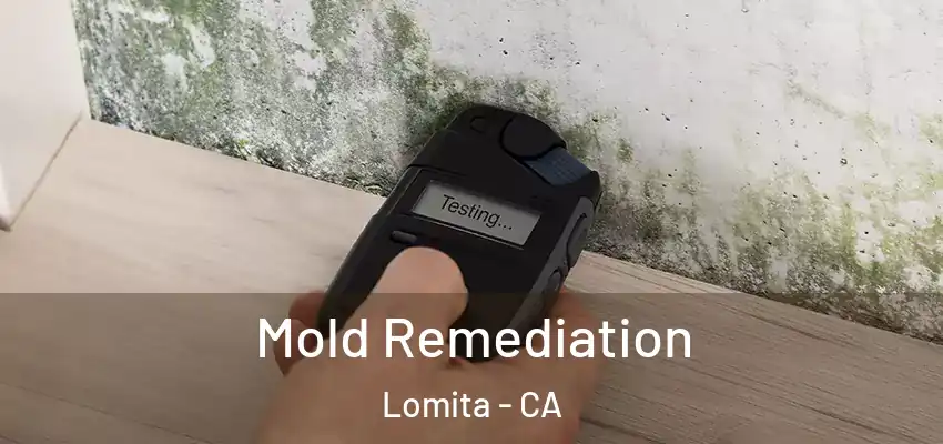 Mold Remediation Lomita - CA