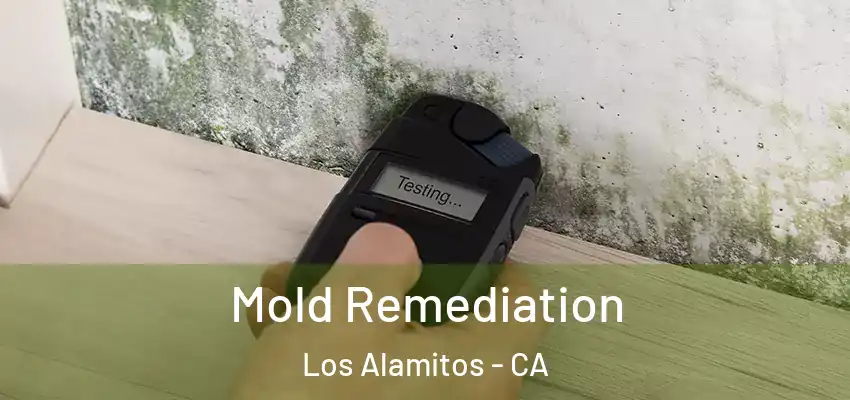  Mold Remediation Los Alamitos - CA